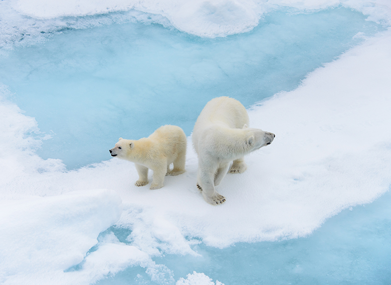 divulgazione-scientifica-cambiamenti-climatici